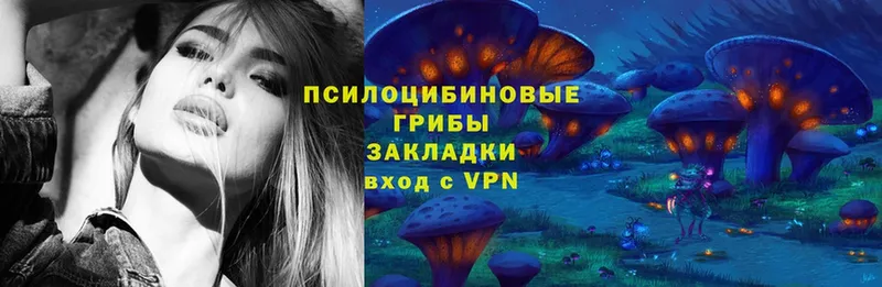 Галлюциногенные грибы Cubensis  что такое   Лебедянь 